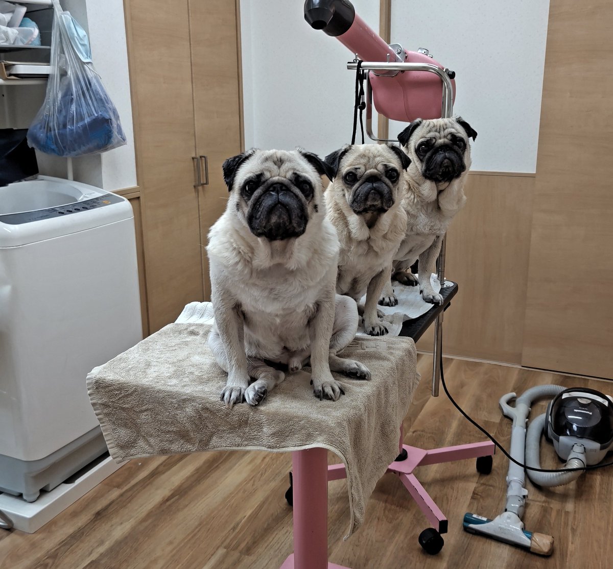 まとめ洗い まとめ乾燥 