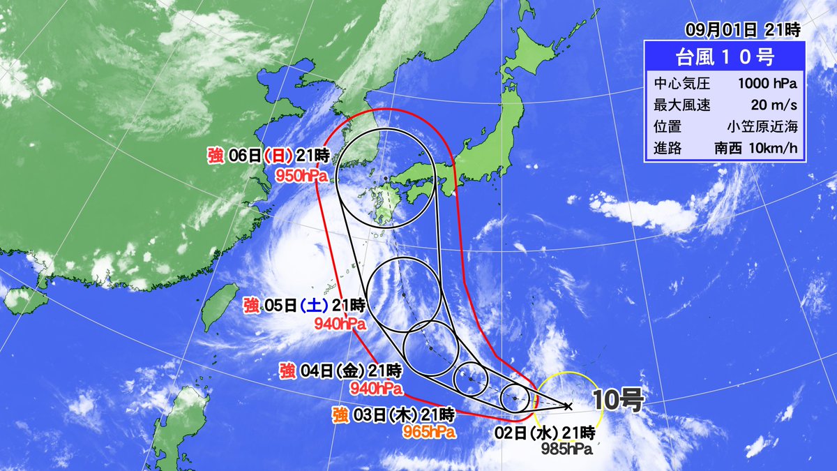 ちなみに名前はハイシェン(Haishen)、中国命名で海神という意味だそうです