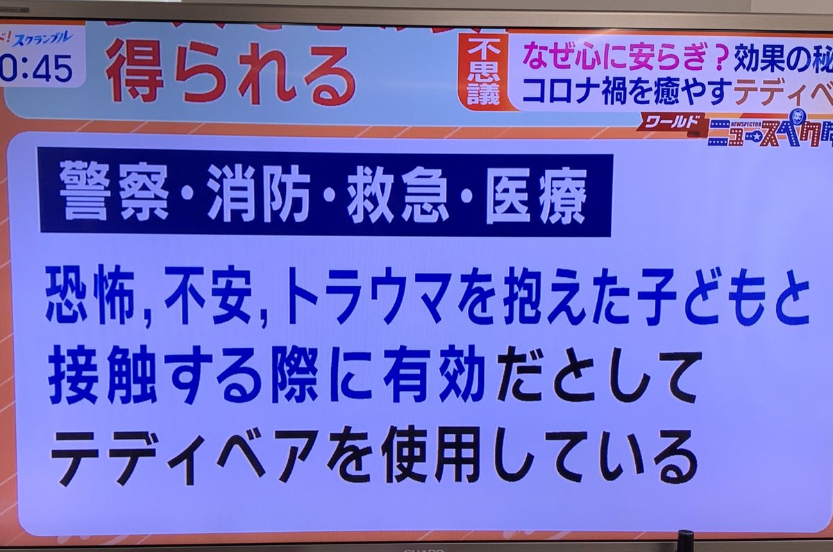 みんなぬいを持とうな 