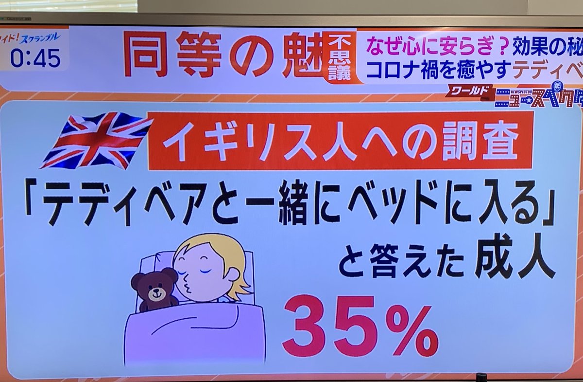 みんなぬいを持とうな 