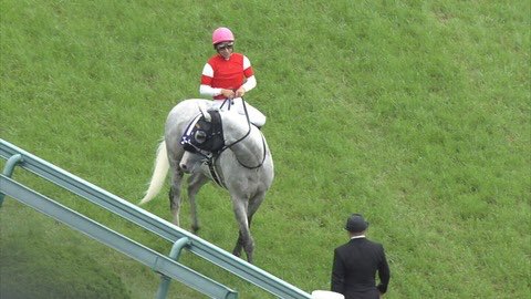 ゴールドシップの狂人エピソードばかり共有されてるけど、宝塚記念で歴史的大出遅れをしたレース後、気まずそうに調教師から目を逸らす人間臭いゴールドシップも見てくれよ