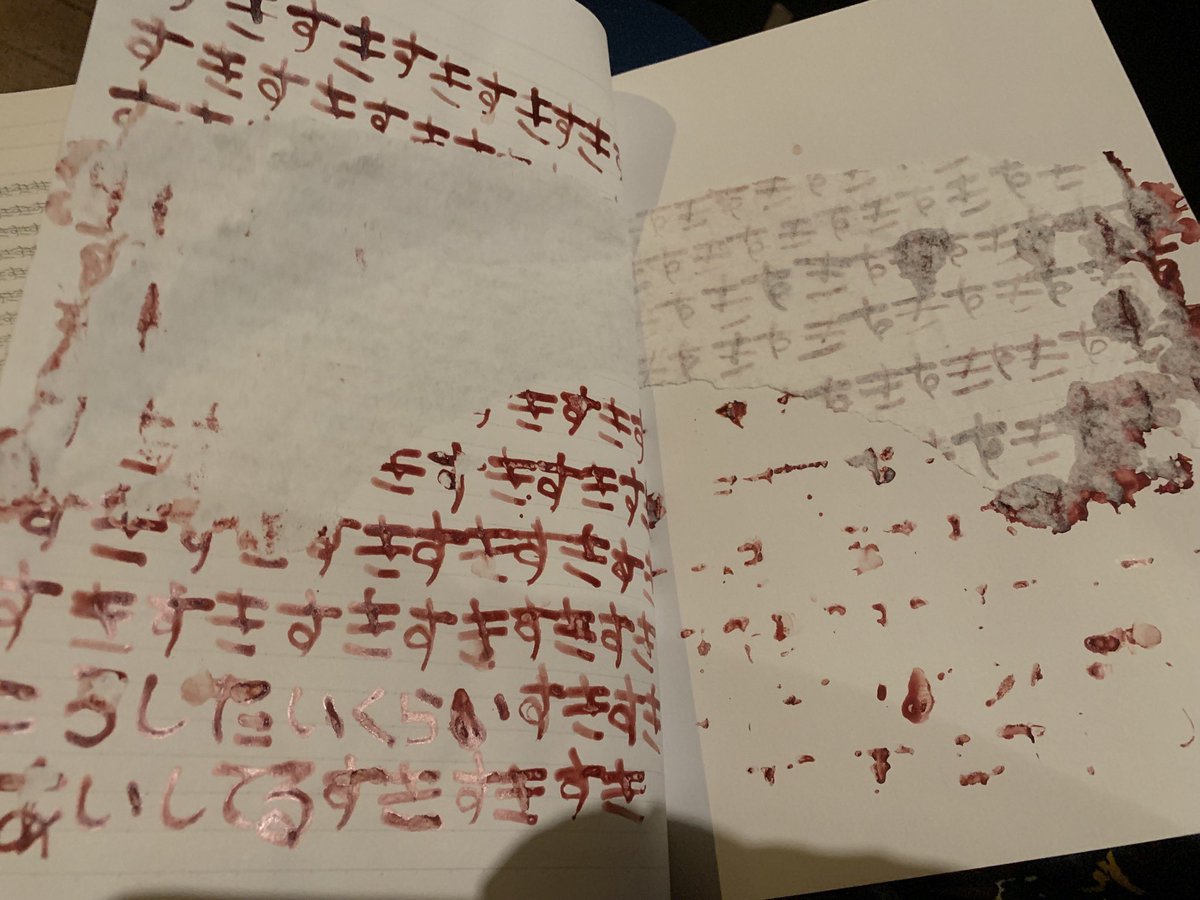 無理やり剥がすと、、嫌な予感は的中しました