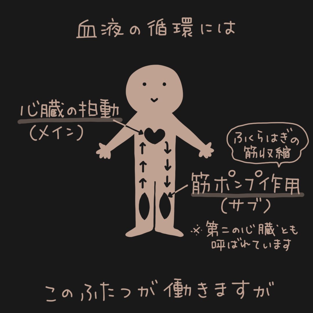 トレーナーの勉強をしていて一番印象的だった事です