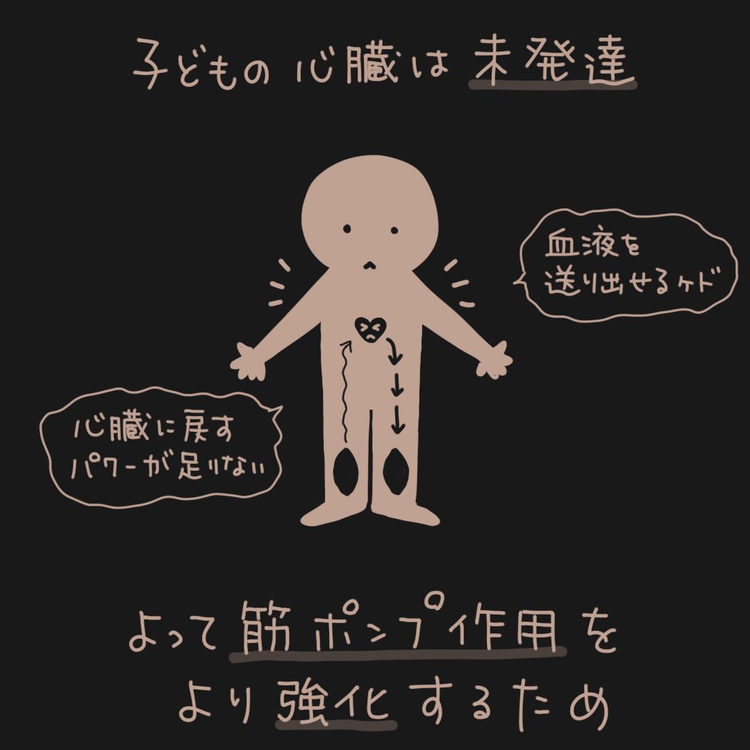 トレーナーの勉強をしていて一番印象的だった事です