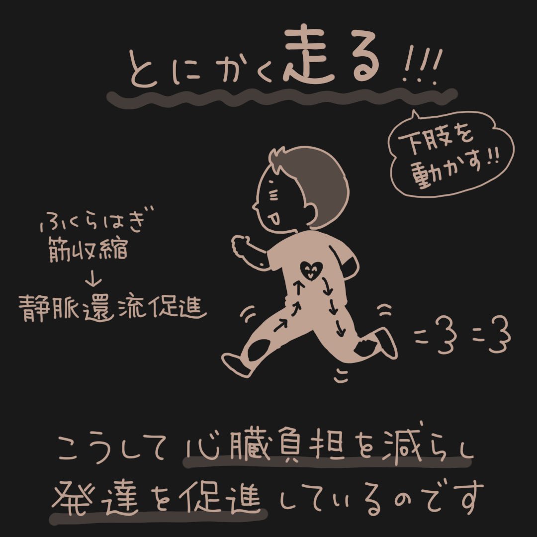 トレーナーの勉強をしていて一番印象的だった事です