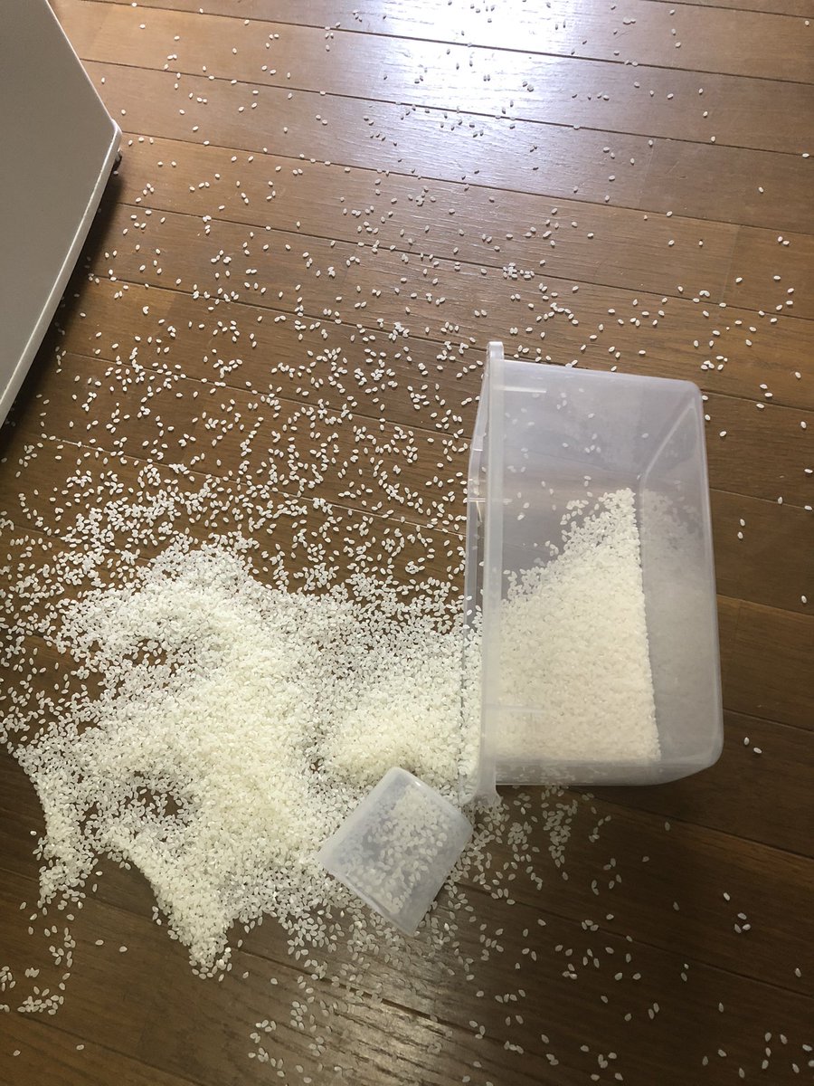 人生って楽しい！！！！！！！ 