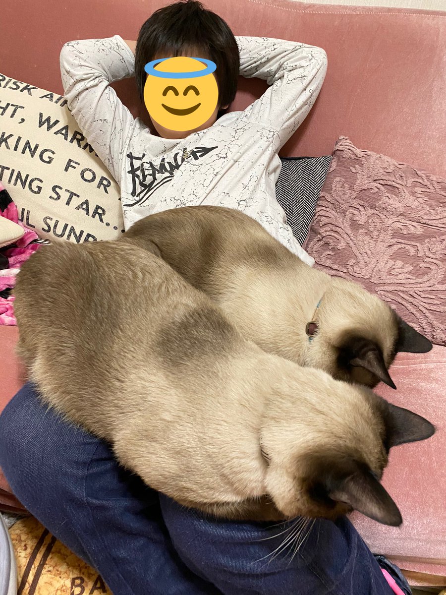 ふたりが膝に乗ってしまい動けなくなった三男が「詰んだ」とこぼしていたw 