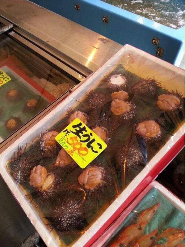 ちゃんと「ウニ」って読めた？ 