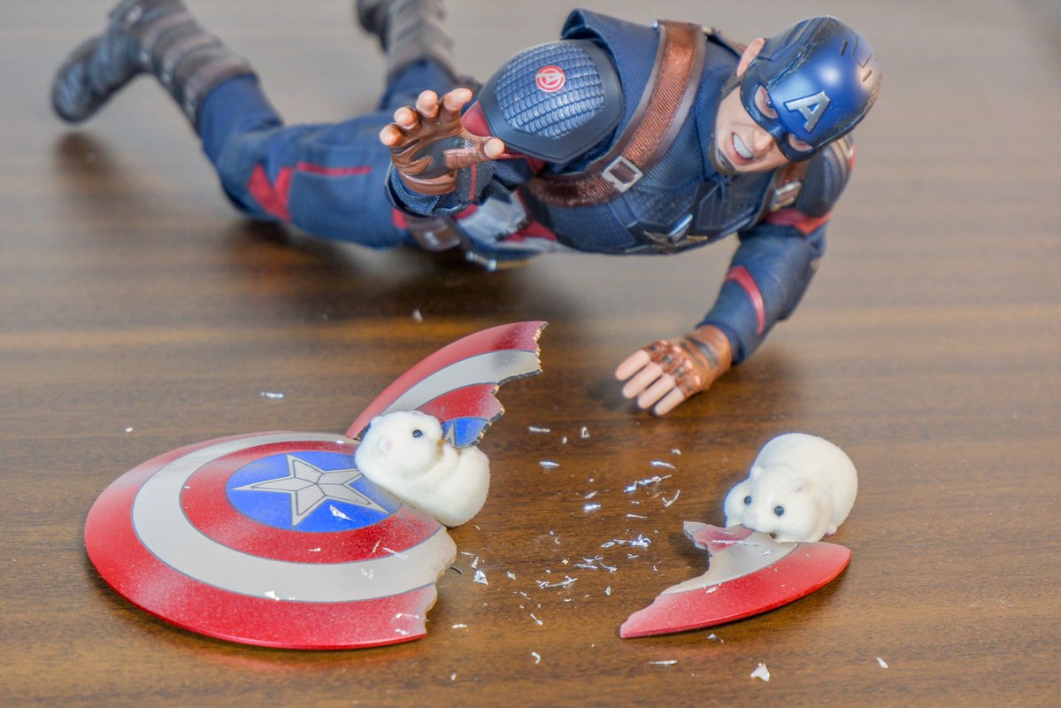 ああああかじらないでぇぇぇぇ！！ 