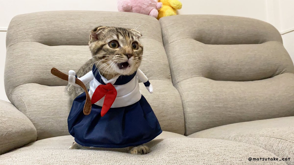 反抗期まつたけ 