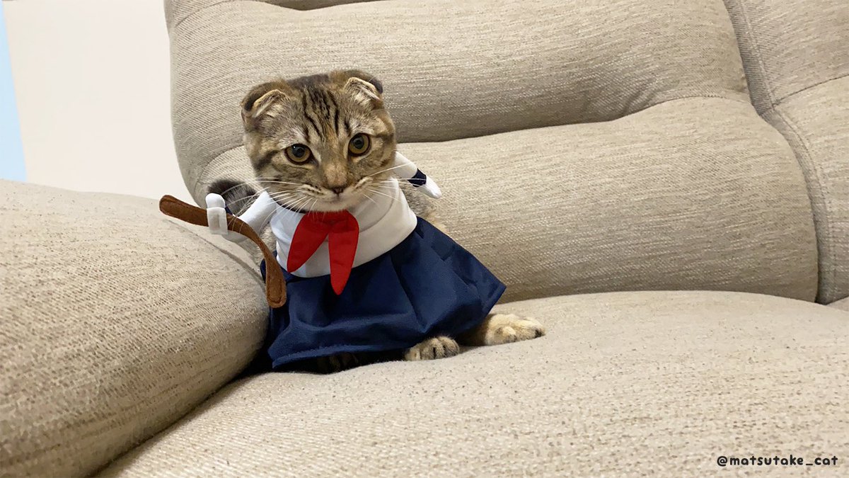 反抗期まつたけ 