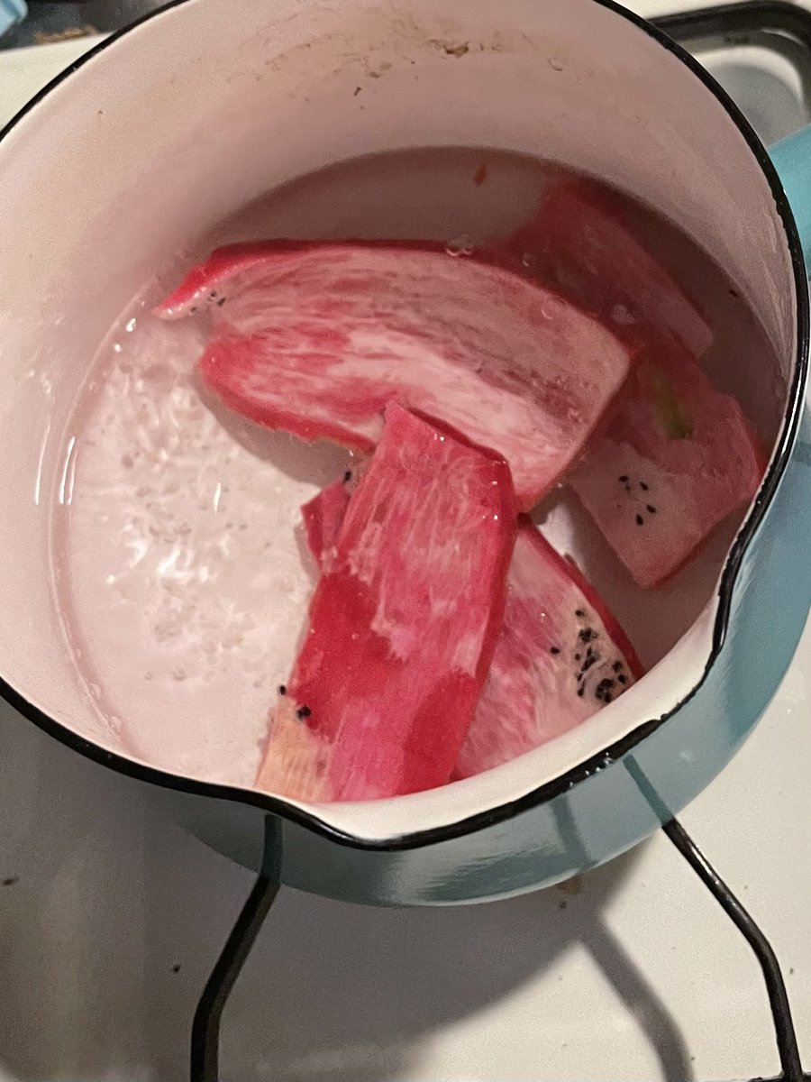 ドラゴンフルーツの皮を茹でて、わさび醤油で食べたらめっちゃマグロ