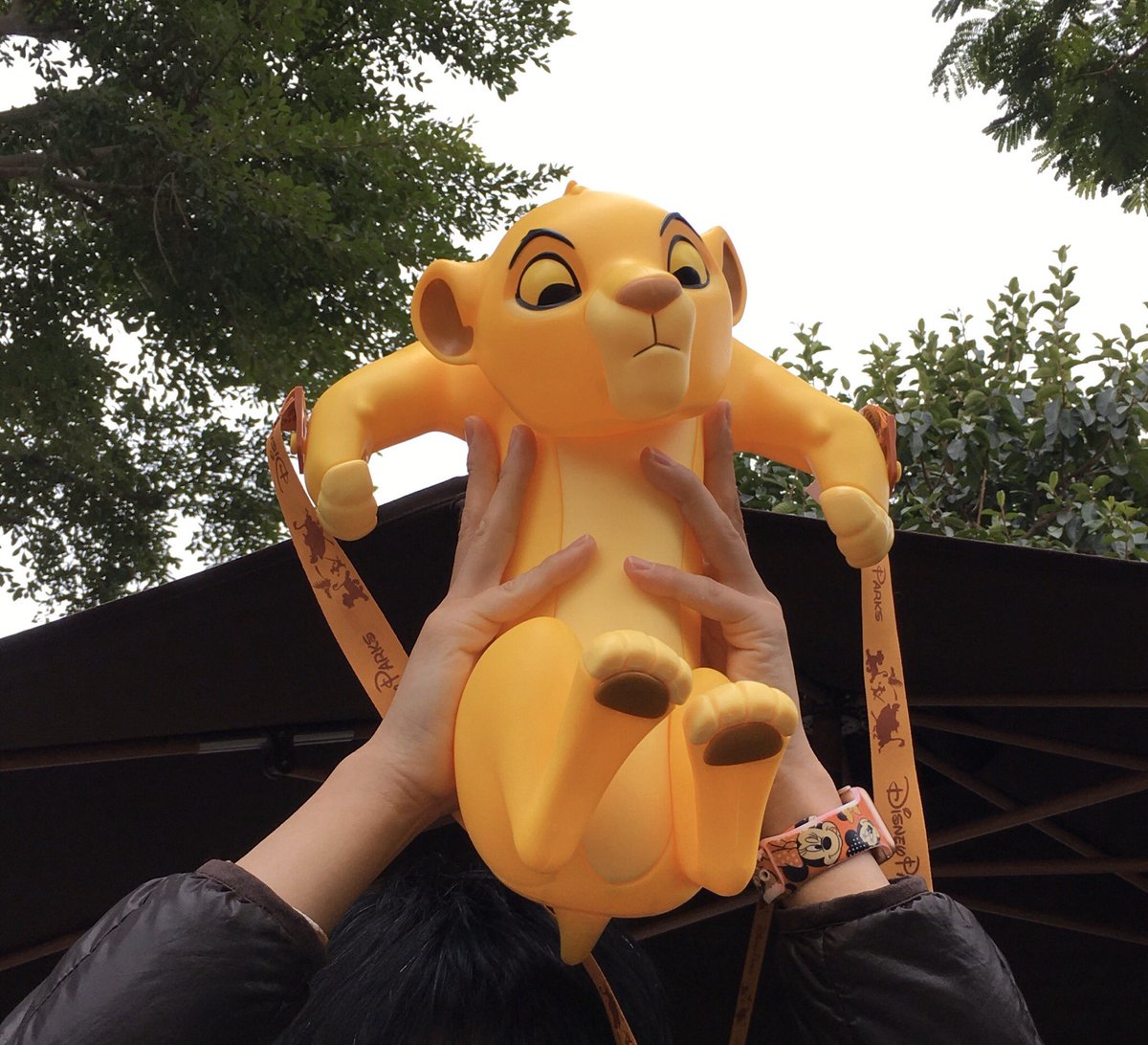 香港ディズニーランド✨ シンバのポップコーンバケットが