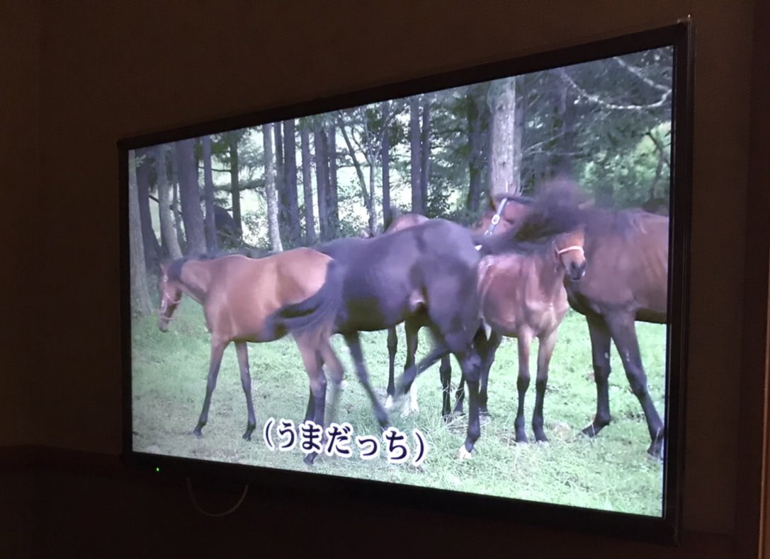 DAMのうまぴょい伝説が本人映像で笑っちゃった  #ウマ娘 #うまぴょい伝説 