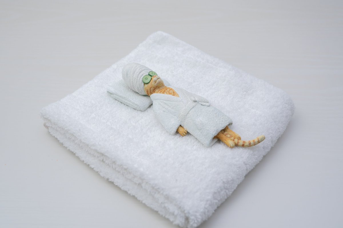   来客があってタオルを貸す機会があったらこの子を添えたいと思います