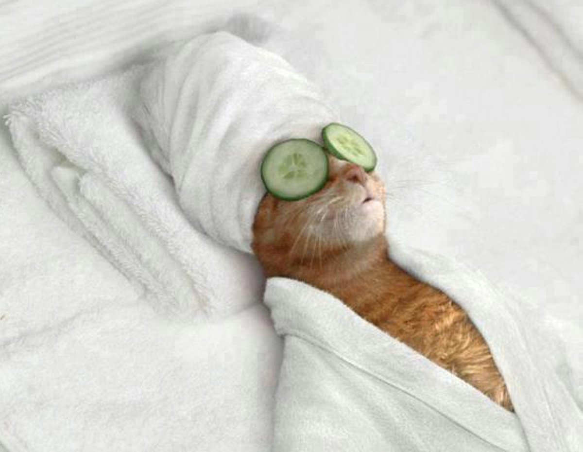   来客があってタオルを貸す機会があったらこの子を添えたいと思います