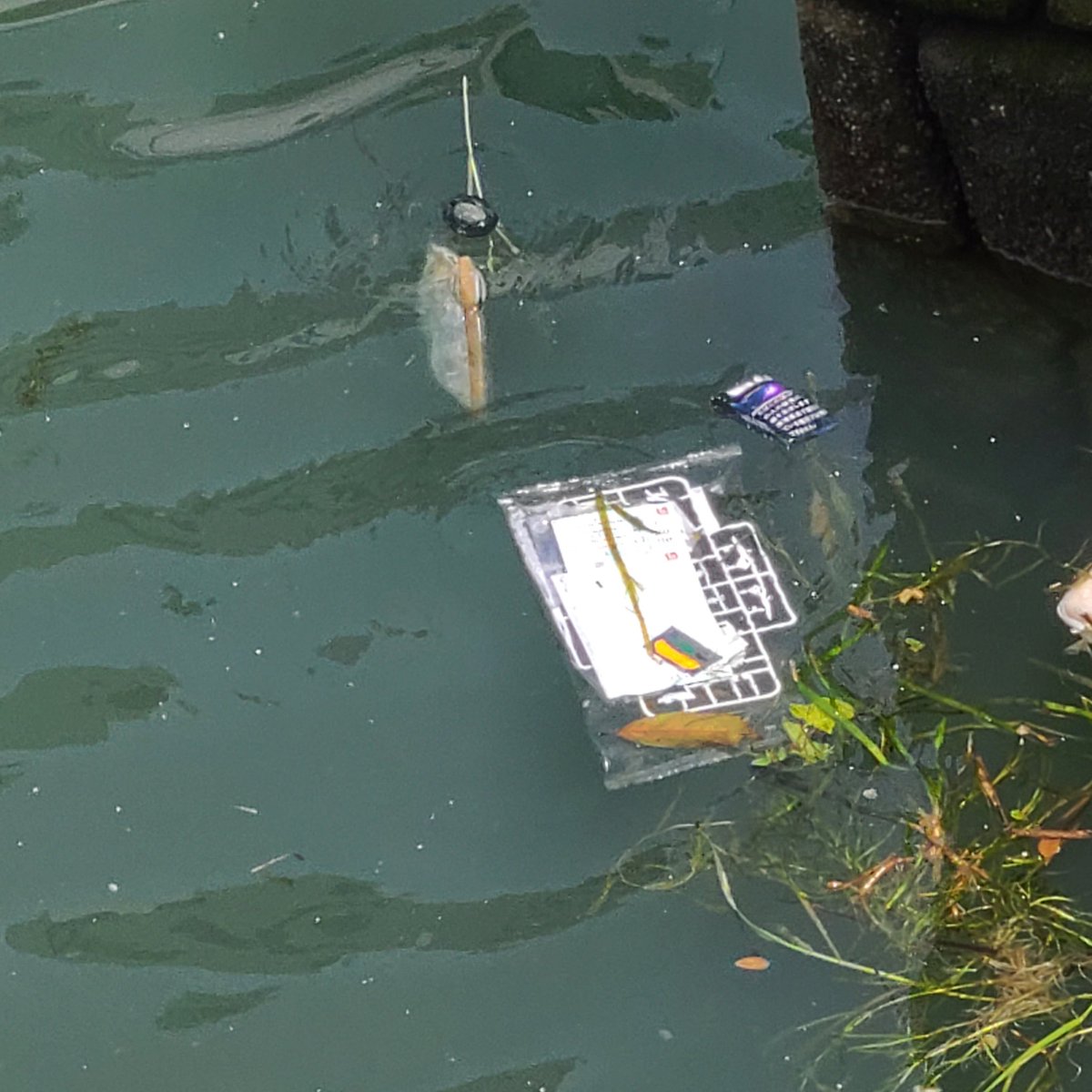 上流からガンプラコ、ガンプラコとガンプラが流れてきました。 