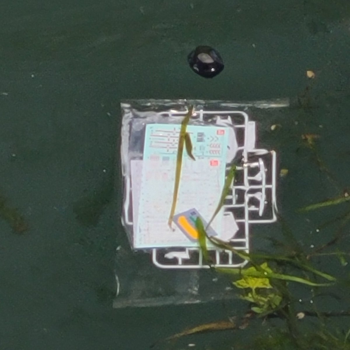 上流からガンプラコ、ガンプラコとガンプラが流れてきました。 