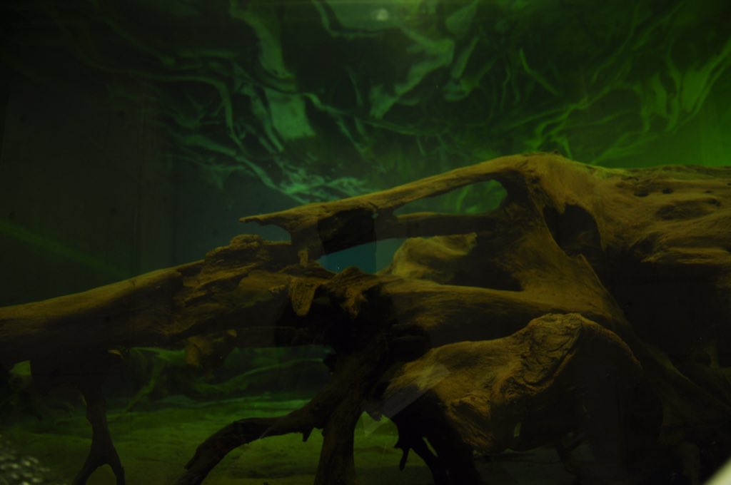 小学生の時以来でしたけど底知れぬこわさを感じてしまう私には