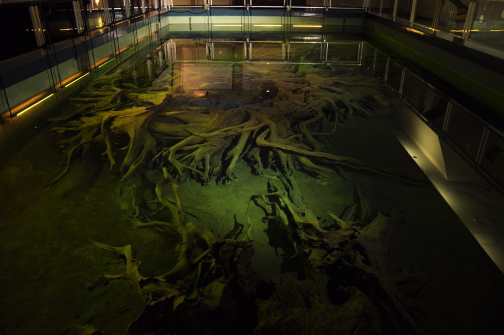 小学生の時以来でしたけど底知れぬこわさを感じてしまう私には