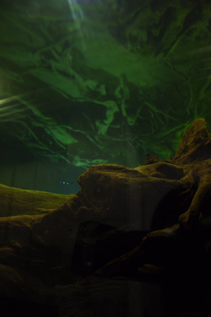 小学生の時以来でしたけど底知れぬこわさを感じてしまう私には