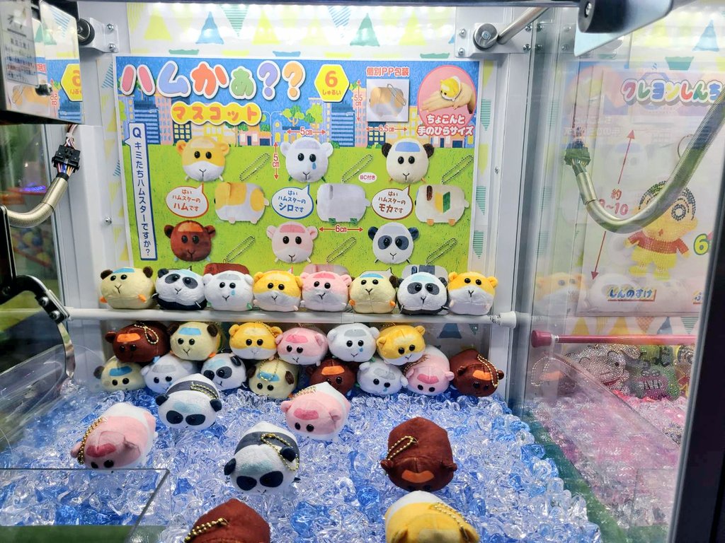 モルカーかと思ったら違ったやつ 