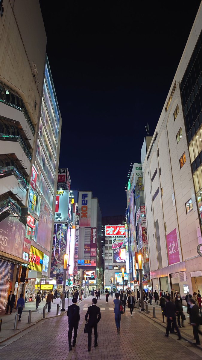 秋葉原で遭遇する怪しい人まとめ ・客引きお姉ちゃん(全域)→ぼったくりガールズバー ・名刺交換(駅前)→不動産投資 ・アンケート(駅前)→個人情報取得 ・外人がノート見せてくる(駅前)→募金詐欺 ・絵売り(末広町駅近く)→絵画商法 ・電車賃を無くした老人(中央通り沿い)→寸借詐欺 皆気を付けてね 