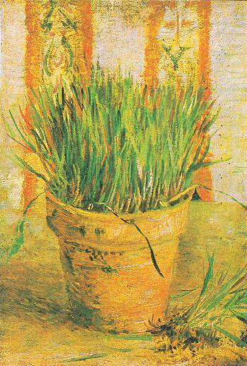 まだ描き始めて半年くらいってとこみたいやね コツとしてはもっと陰影を意識するんやで 60 ID:F7UDLWjc0 >> 52>> 54 すまんこれゴッホのやつや