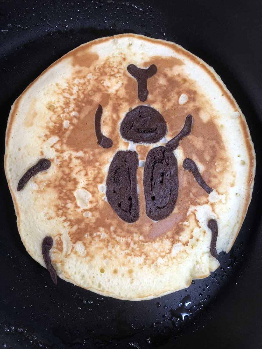 あああああー  カブトムシのホットケーキにしようと思ったのに、脚が流されて、カブトムシの死骸になってしまった〜 