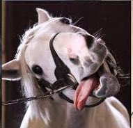 ⚠︎cos⚠︎観覧注意  ウマ娘/ゴールドシップ  お馬ゴルシ様凄くやりたすぎた٩( ᐛ )۶ 