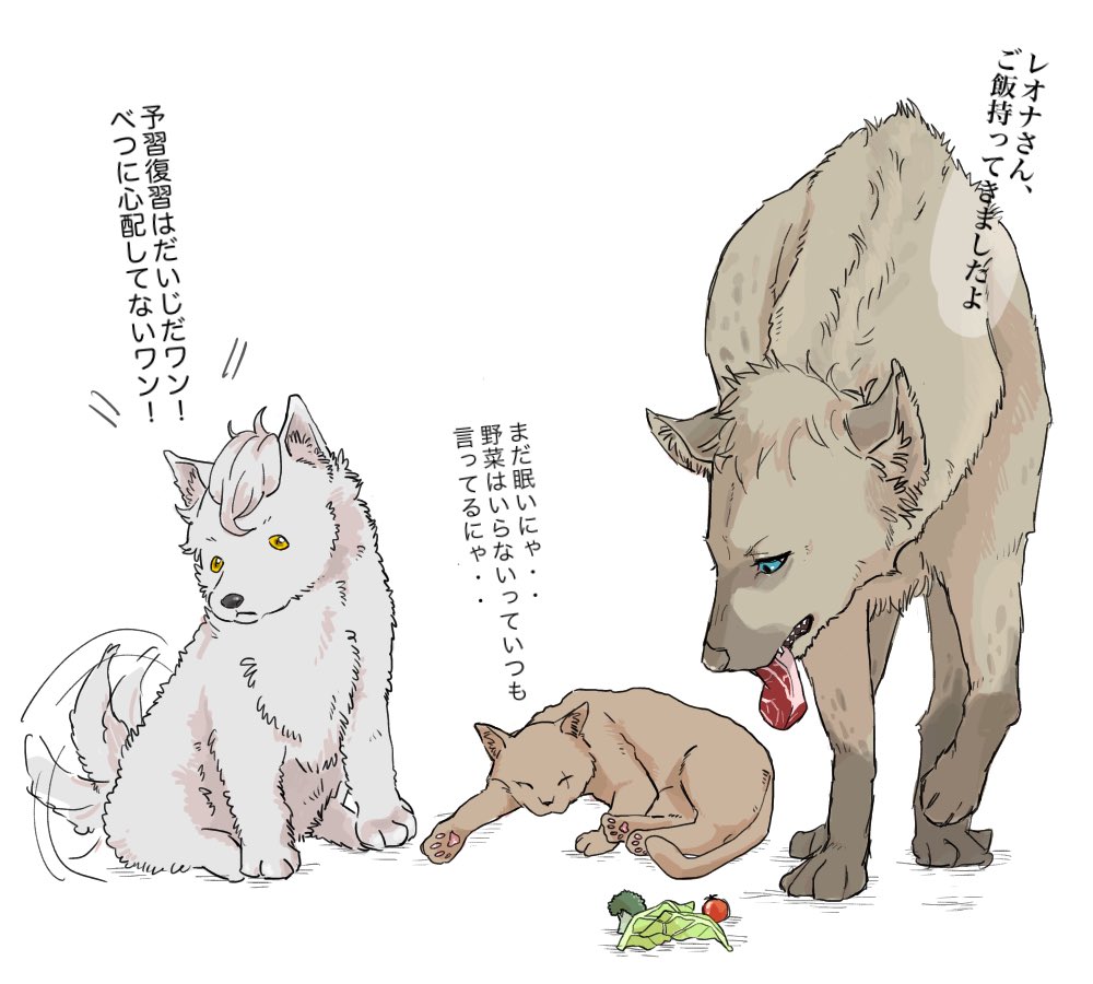 始める前と今とでこんなに印象違う 