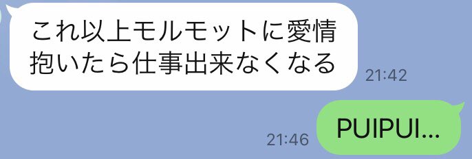 研究職の友達とモルカー 