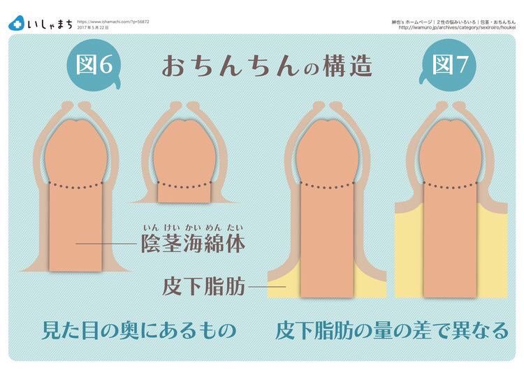 【速報】  デブ客のち◯こが劇的に小さいのはデブだから