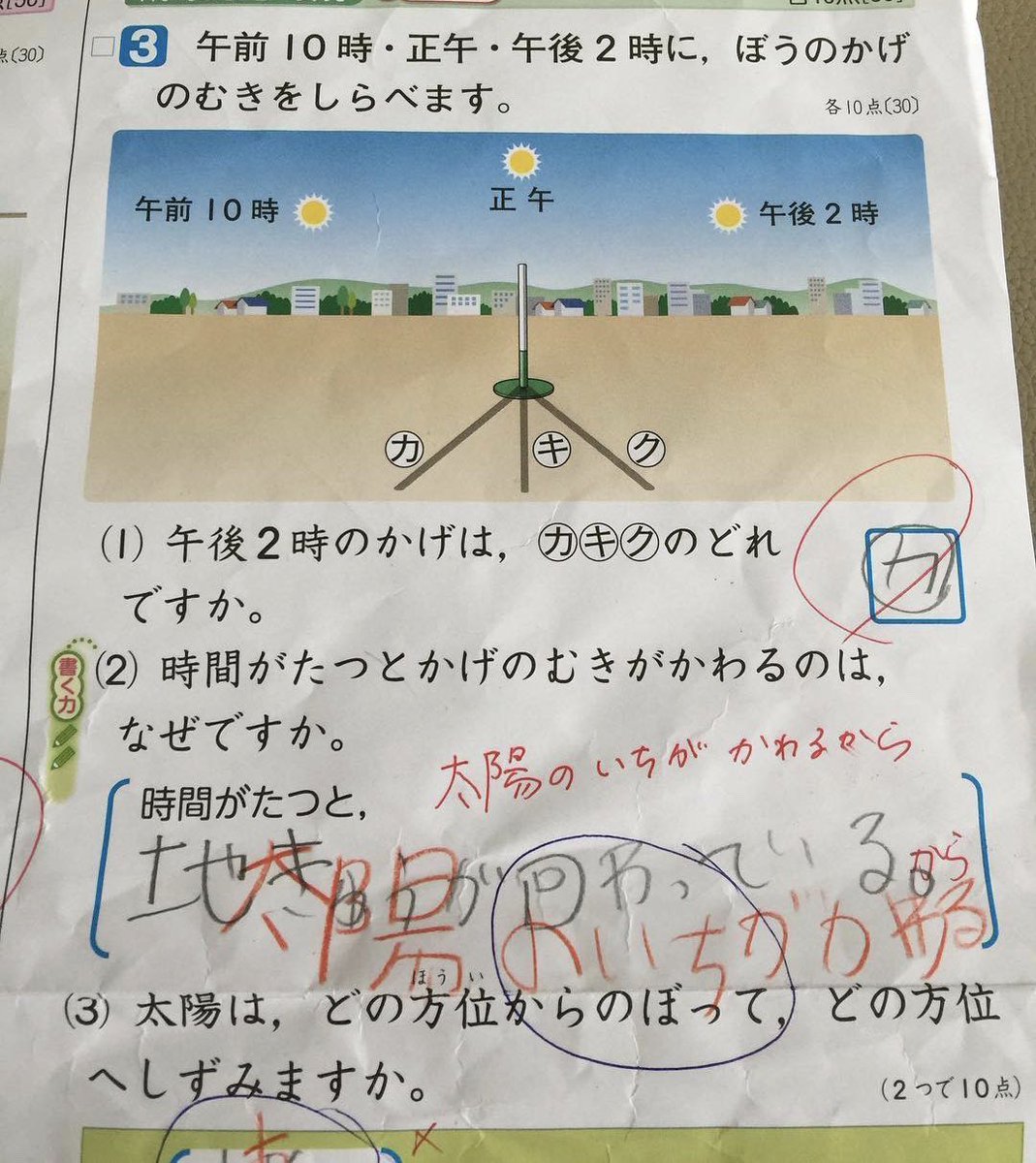 小学校の理科って、事実より国語としての正解が優先されるの勘弁してって思う