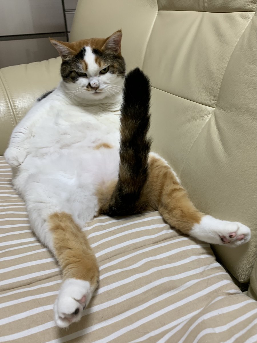 この画像はセンシティブな内容を含んでいる可能性はありません 