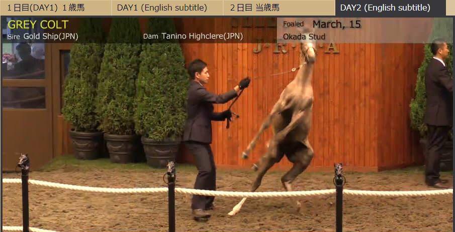 ゴルシちゃん子供もこんな感じなんで血が濃いぞ 