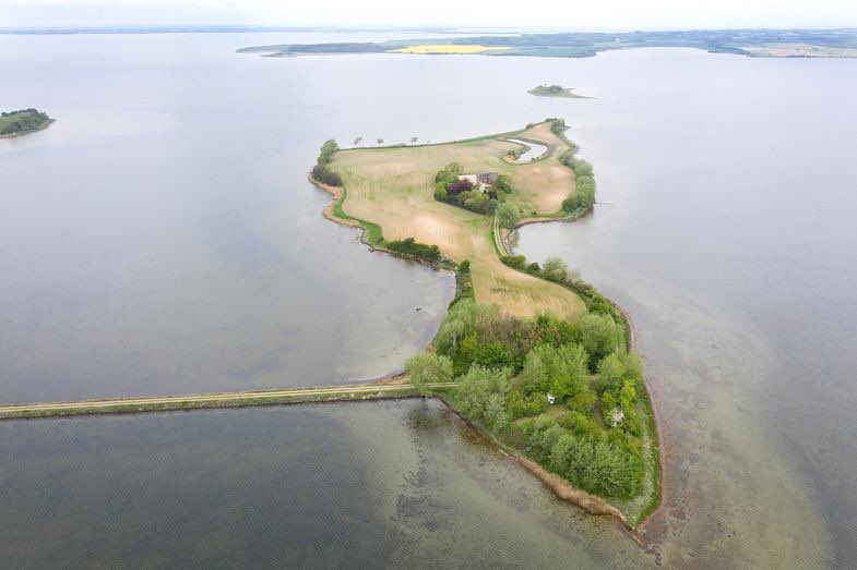  一緒に島主になりませんか