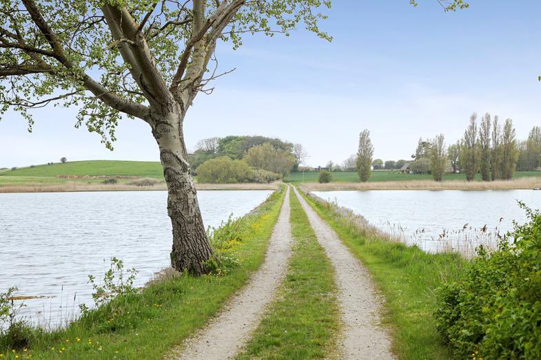  一緒に島主になりませんか