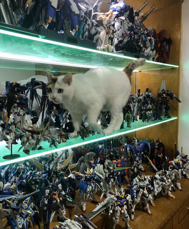 ああああああああーーーーああああああああああああああああああああああーーーーーーーーー 