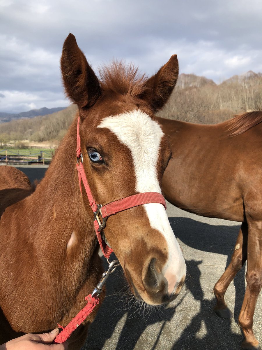 ちょっと変わった目の色をした 女の子が生まれました