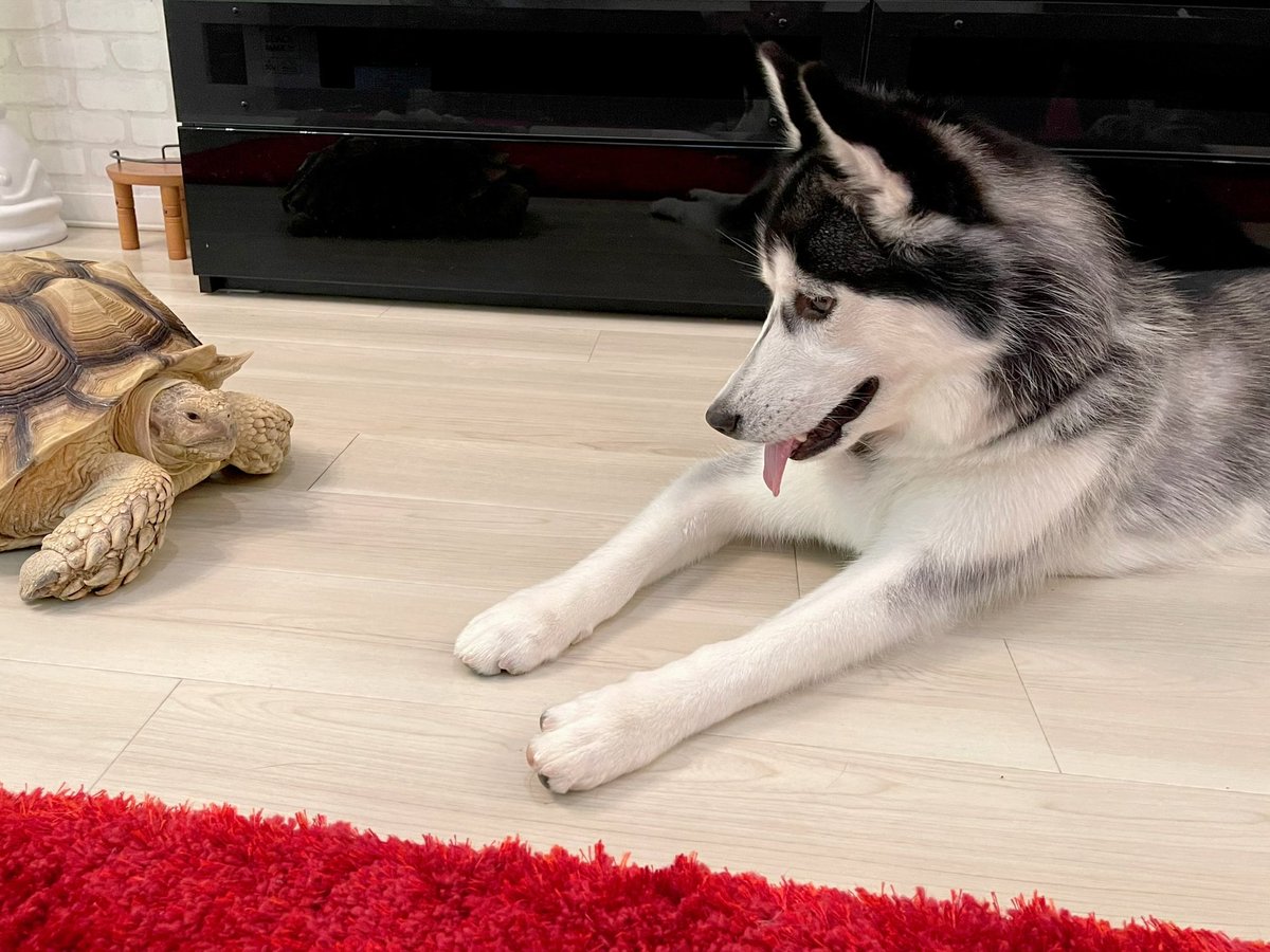 一緒に寝たかったらしい... 