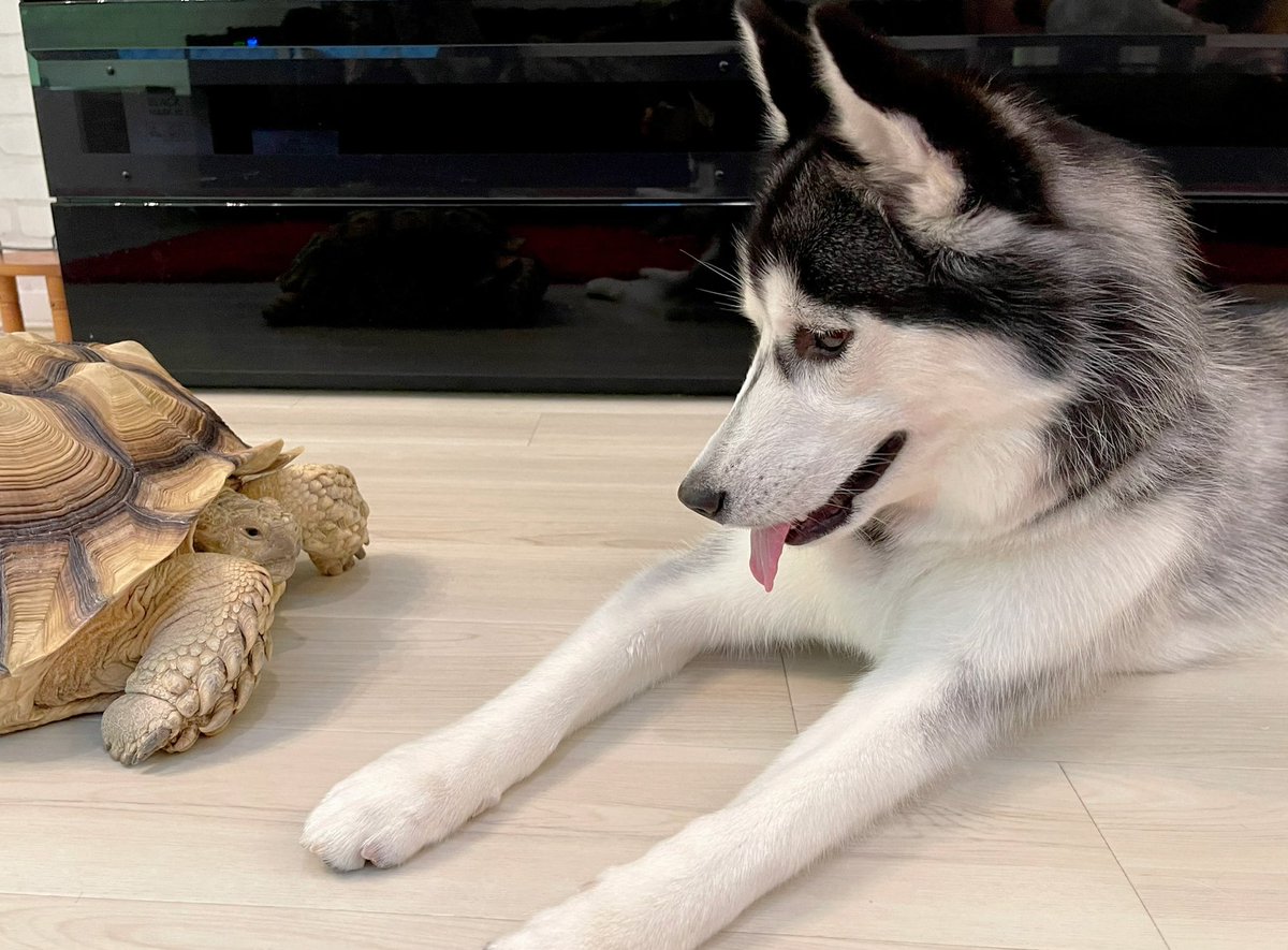 一緒に寝たかったらしい... 