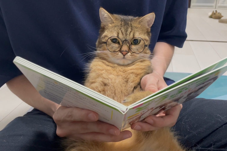 動物の絵本を見せていたら、ライオンの写真が出てきた瞬間イカ耳になって自分なりに臨戦態勢整えてんの可愛すぎるｗｗｗ 