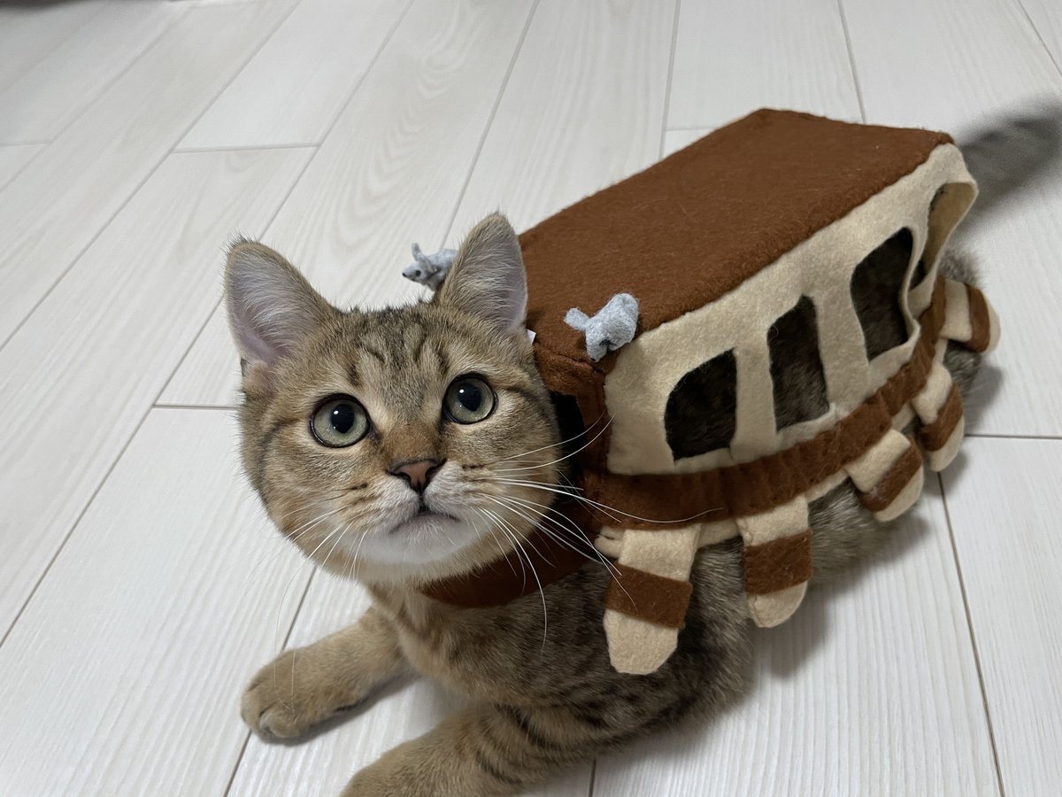 いやぁ…やっぱりこの猫バス君めちゃくちゃ可愛い…  もうこのバスに乗って一日中寝そべっていたい… 