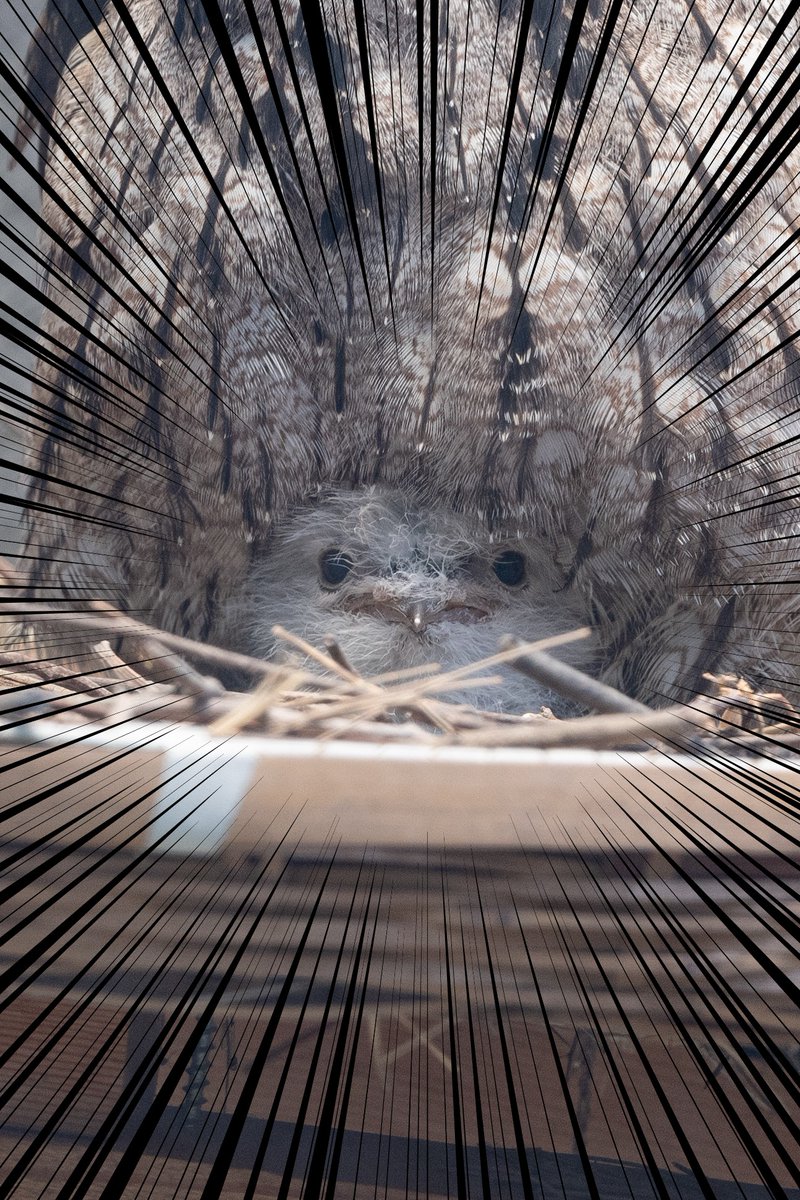 やばい(語彙力消失) 