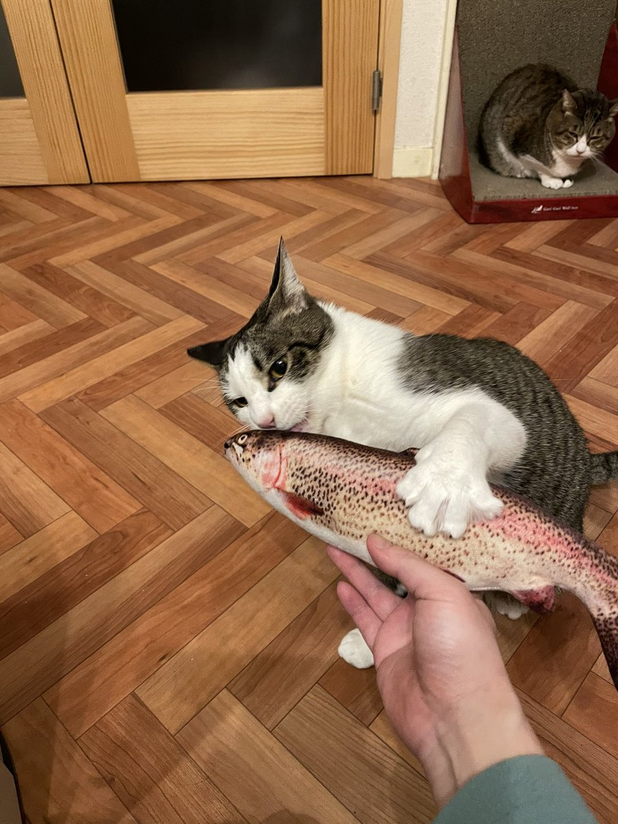 いつも控えめなボスにしては珍しく、他の兄弟に取られないようにしっかり両手でキープしてて可愛い