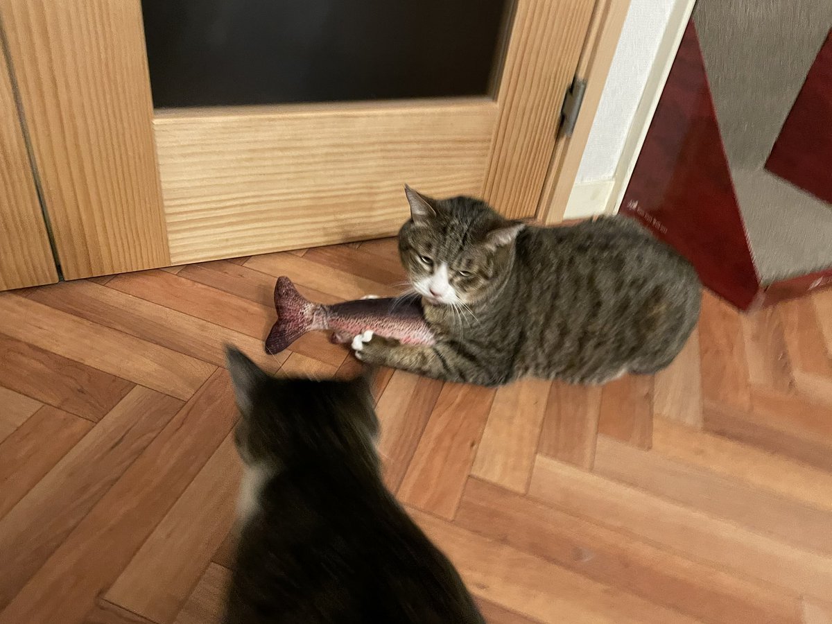 いつも控えめなボスにしては珍しく、他の兄弟に取られないようにしっかり両手でキープしてて可愛い