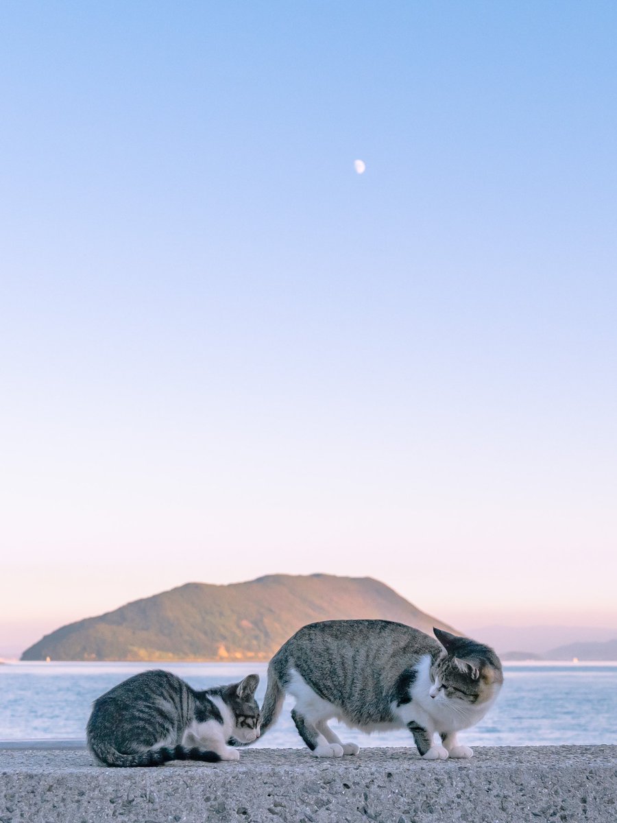 「行かないで」