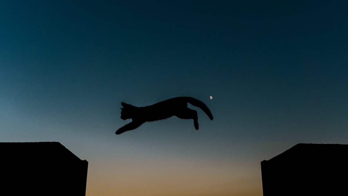   #お前よくぞそんなもん撮ってたな選手権 