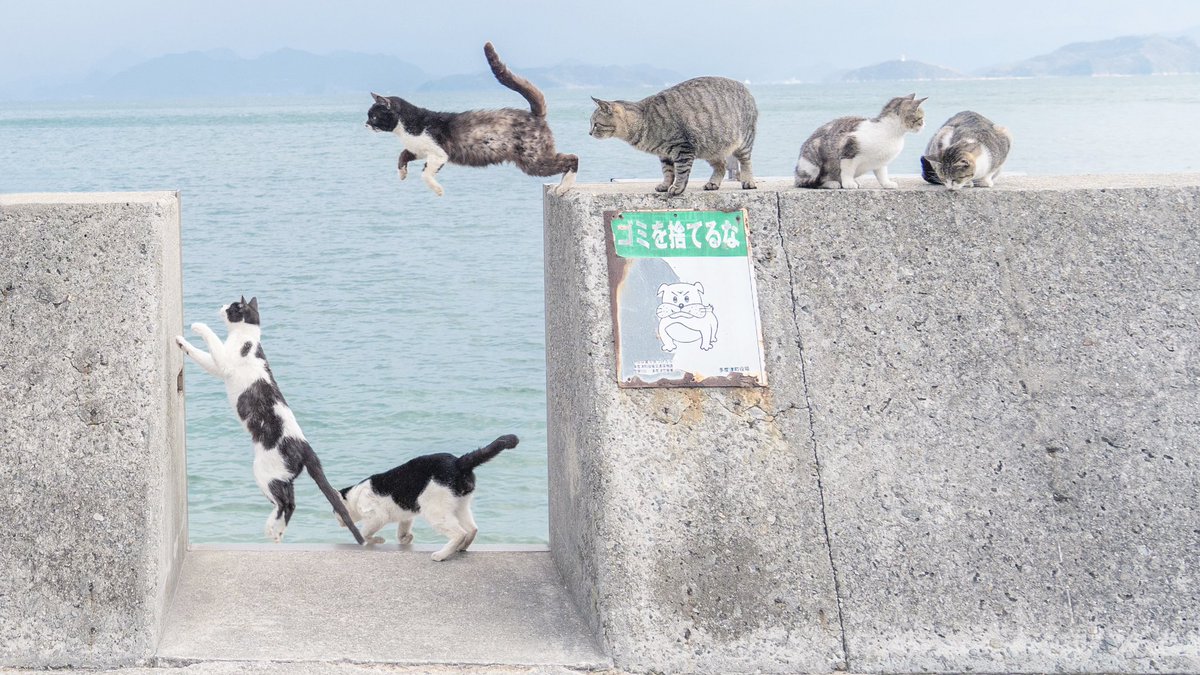 情報量が多すぎるのよ。 
